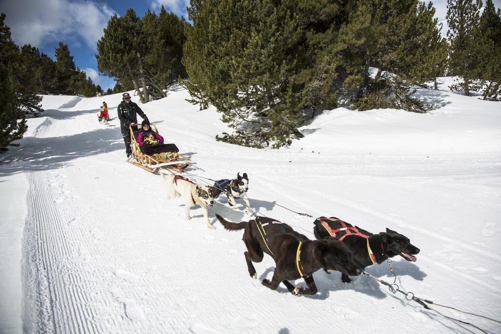 Vitivola Pleta Peu Del Riu Incles Lägenhet Canillo Exteriör bild